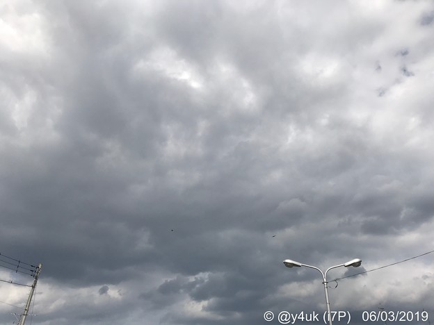 6.3旅先その1.蒸し暑い曇り空・カップル鳥が頭上を仲良く飛んで行った(予言だったのか？山ちゃん＆優6.5波乱の令和が続く事故事件に衝撃と現実の明るい希望の2人“結婚”)・街灯・電柱。動悸中なんとか着