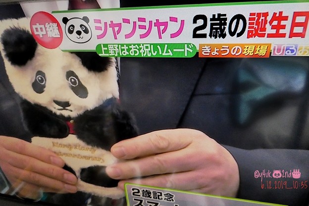 6.12_10:35TBSひるおび「シャンシャン2歳のお誕生日☆上野動物公園中継」新作グッズ2歳記念スマホケース大人気殺到☆可愛い！欲しい！でも…普段使いに恥ずかしい。ウンコ最高！芳香健康の癒し～通院