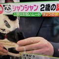 6.12_10:35TBSひるおび「シャンシャン2歳のお誕生日☆上野動物公園中継」新作グッズ2歳記念スマホケース大人気殺到☆可愛い！欲しい！でも…普段使いに恥ずかしい。ウンコ最高！芳香健康の癒し～通院