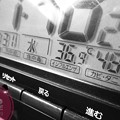 36.9℃48％amから24h Hotday&amp;Night.殺人猛暑、毎日猛暑…amから深夜も30℃驚愕の温度湿度(~_~;)毎日汗だくで撮影と疲労(クリエイティブ“ラフ・モノクロ”/マクロ:TZ85)