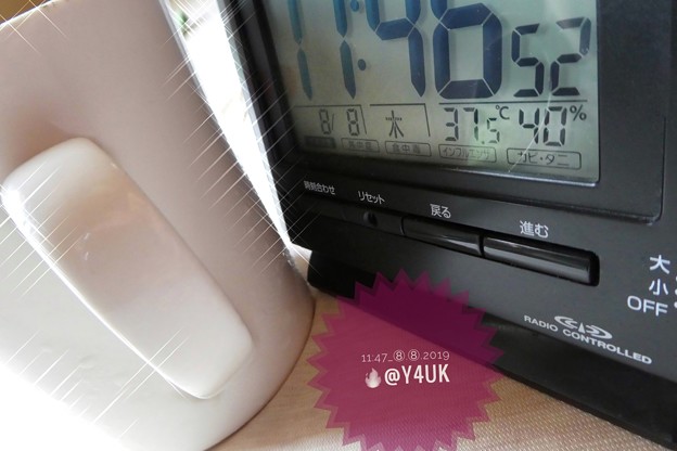 37.5℃40％am8.8の日#世界猫の日～毎日amから酷暑…殺人猛暑…水分補給にもコップこれは12年くらい愛用。取っ手が必要。クロスで愛が光った(クリエイティブモード“クロスフィルター”:TZ85)