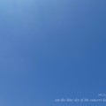 Photos: 8.25_10:23am the blue sky of the concert day～青空のみコンサート当日、午前の朝は雲はなかった。久しぶりに澄んだ青のみ。小さな幸せの予感。応援してくれてる青空