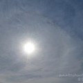 Photos: 9.9 After passing typhoon15～台風15号今朝通過“クック9.9の日”は37℃＋蒸し暑い殺人猛暑…日暈ハロ曇り空。暴風雨→人混乱→千葉鉄塔倒壊大停電→酷暑(絞り優先:TZ85)
