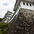 郡上八幡城