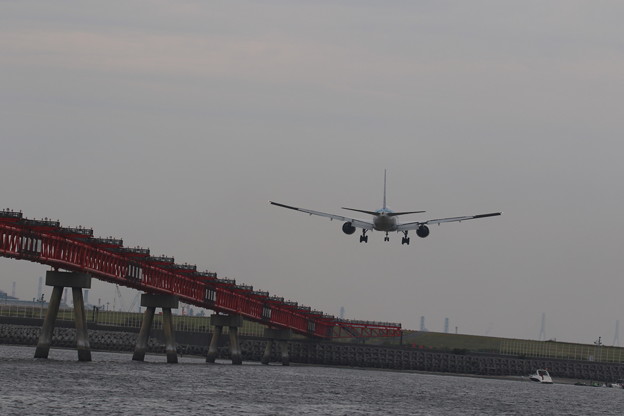 写真: IMG_1153