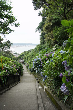 DSC02739