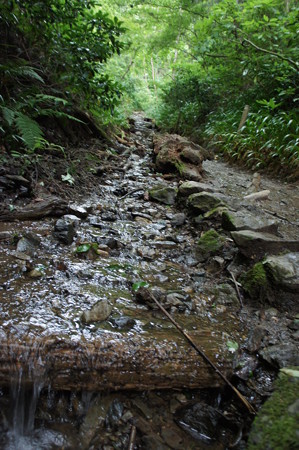 DSC02854