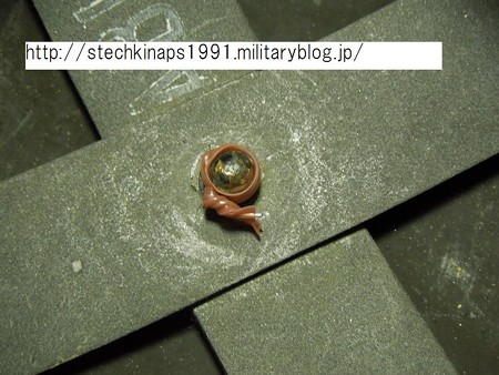 DSCN1629