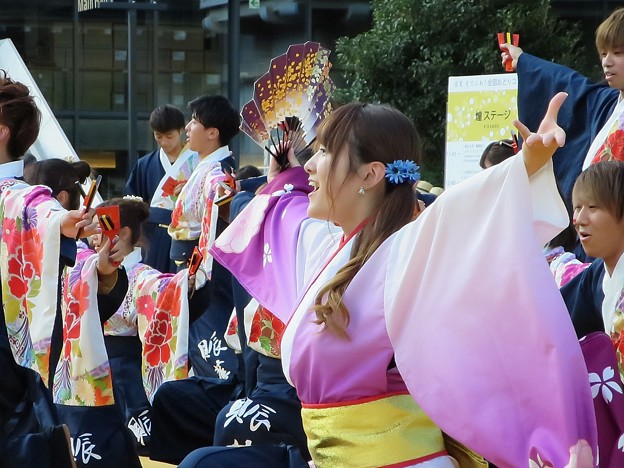 滋賀大学よさこいサークル椛さん