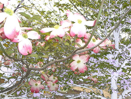 islands of flowers in ニライカナイ-06