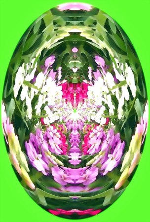 花のしずく_flower maze