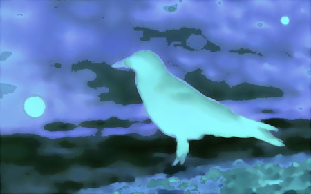 カラス-01e(1-4b)