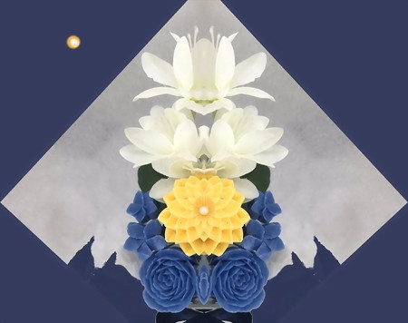 菊月夜-03b
