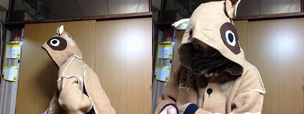 たぬきさん
