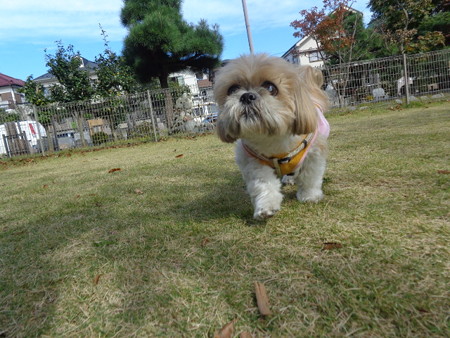 DSC00681