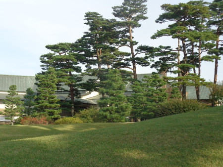 DSC00691