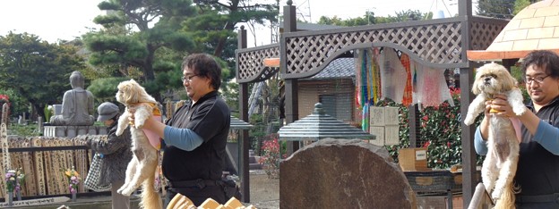慈恵院2