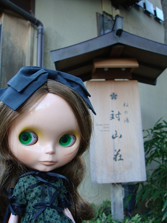 到着@修善寺_対山荘