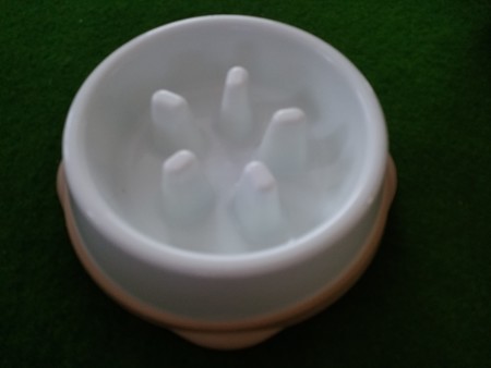 犬用早食い防止食器1