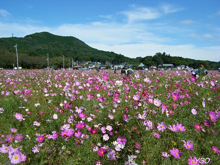 DSCF2404_pa