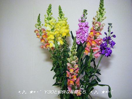DSCF2661_pa