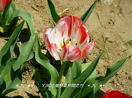 DSCF8061_pa