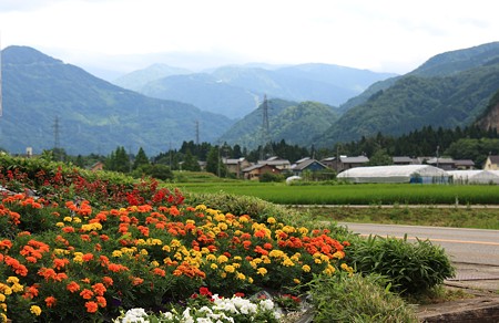 吉野工芸の里から　山並み