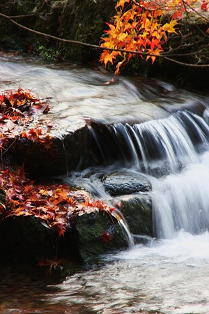 山中温泉　公園のミニ滝