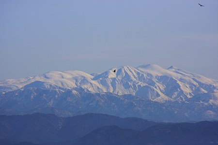 白山とトンビ