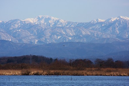 白山と柴山潟