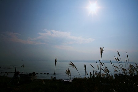 能登の海とススキ