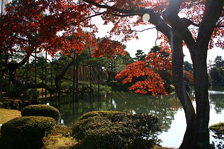 もみじ(6)　兼六園霞が池