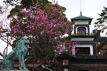 尾山神社と紅梅