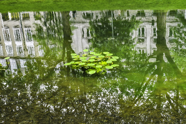 世界で一番優雅な並木道