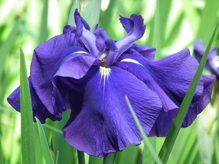 DSCF0188