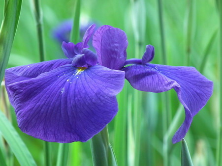 DSCF0478