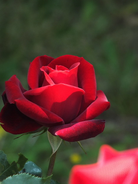 DSCF0068