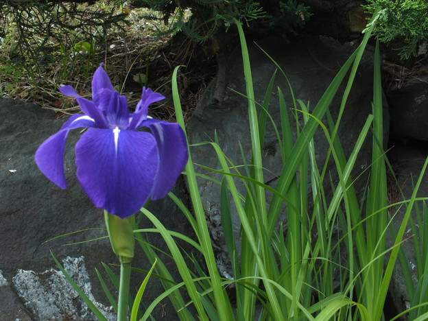 DSCF0885