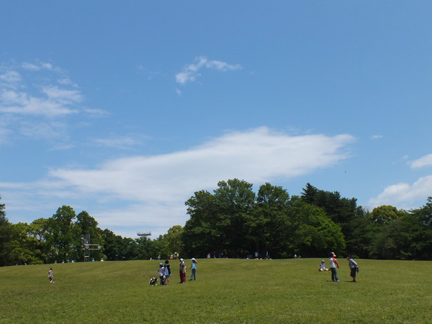 DSCF0532