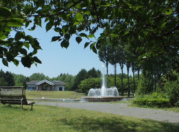 DSCF0197