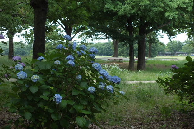 DSCF0463