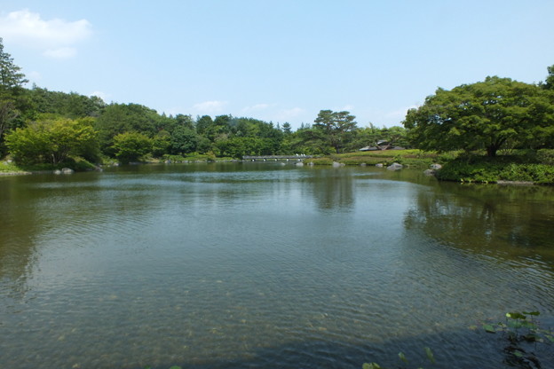 DSCF0336