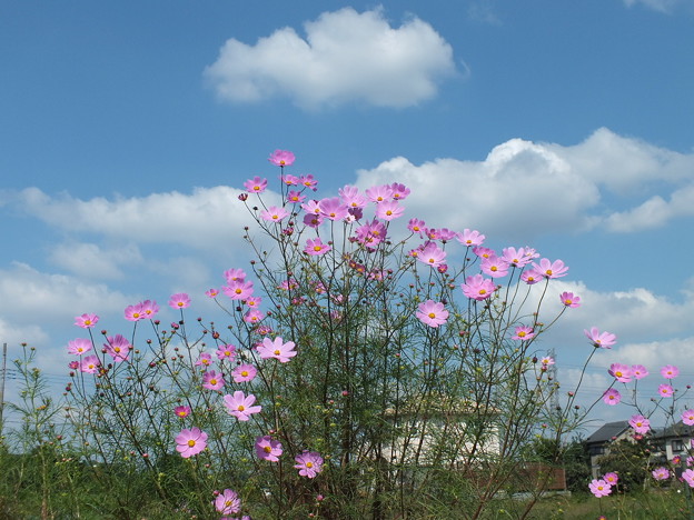DSCF0202