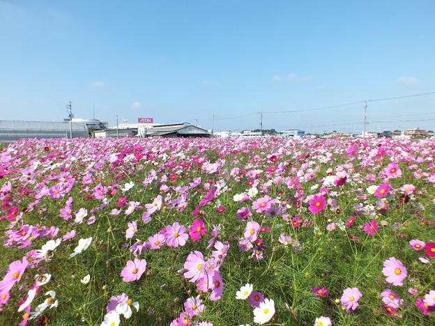 DSCF0261