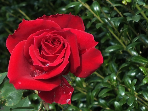 DSCF0044