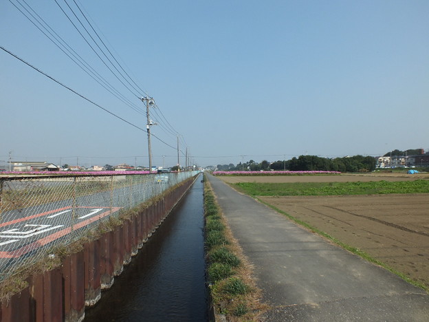 DSCF0098