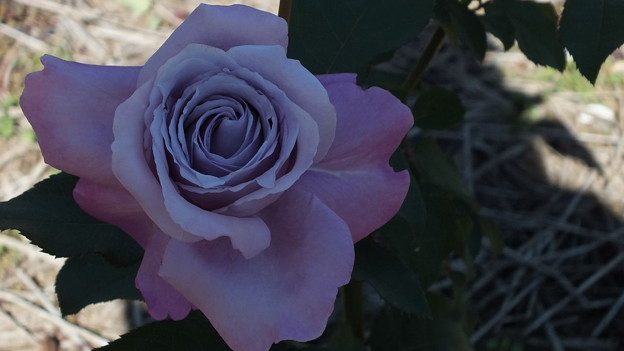 030