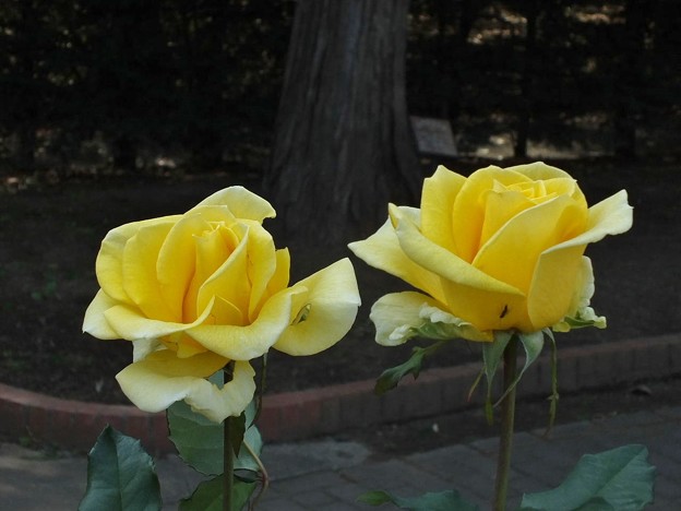 DSCF0028