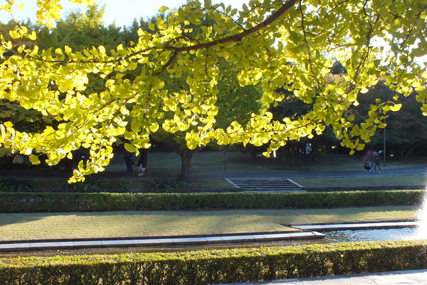 DSCF0523
