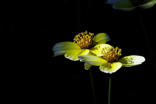 DSCF0029